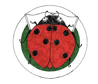 ladybug red green